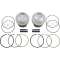 (image for) Tracker Series Piston Kit - 3.93" Bore