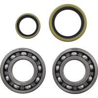 (image for) Crank Bearing and Seal Kit - BETA EVO 300 4T Factory 22-23
