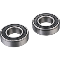 (image for) Front Wheel Bearing Kit - TM
