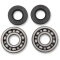 (image for) Main Bearing and Seal Kit - SUZUKI RM100 03