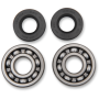 (image for) Main Bearing and Seal Kit - SUZUKI RM100 03