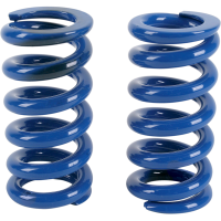 (image for) Big Shock Springs Big Blue