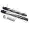 (image for) Progressive Suspension Fork Springs
