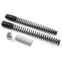 (image for) Progressive Suspension Fork Springs