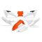 (image for) Complete Body Kit - White/orange