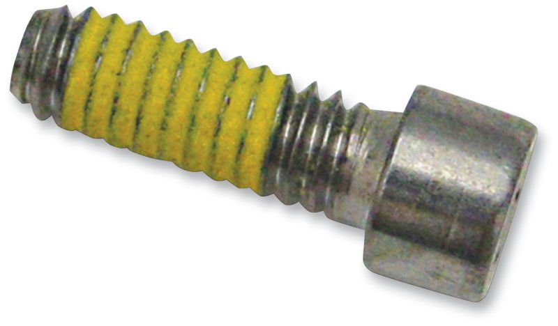 (image for) S&S CYCLE Chrome Screw