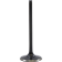 (image for) Black Diamond Intake Valve