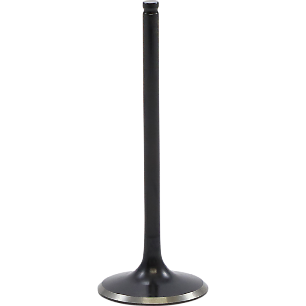 (image for) KIBBLEWHITE Black Diamond Intake Valve