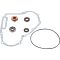 (image for) Water Pump Rebuild Kit for Polaris FST IQ Bulk 155 07