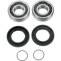 (image for) Swingarm Bearing Kit