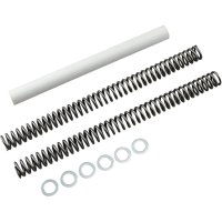 (image for) Race Tech Fork Spring FRSPS293890