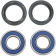 (image for) Front Wheel Bearings and Seal Kit