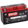 (image for) BS Battery SLA AGM 2113-0619
