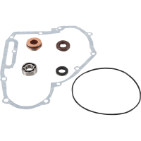 (image for) Water Pump Rebuild Kit for Polaris FST IQ Bulk 155 07