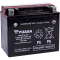 (image for) Yuasa AGM Maintenance-Free Battery YTX12-BS