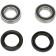 (image for) Front Wheel Bearing and Seal Kit