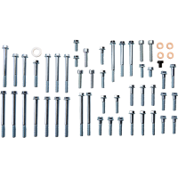 (image for) Engine Fastener Kit - Suzuki RM-Z250 04-06