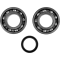 (image for) Crank Bearing and Seal Kit - SUZUKI RM-Z250 04-06
