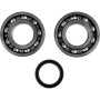 (image for) Crank Bearing and Seal Kit - SUZUKI RM-Z250 04-06