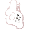(image for) ProX Water Pump Repair Kit
