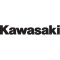 (image for) Kawasaki Fork and Swingarm Decal