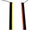 (image for) Dual-Color Plasma Rods 12 Inch