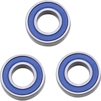 (image for) Rear Wheel Bearings and Seal Kit
