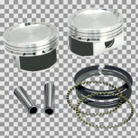 (image for) Piston Kit 86-22 XL Std