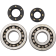 (image for) Main Bearing and Seal Kit - KAWASAKI KX250 02-07