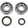 (image for) Crank Bearing and Seal Kit - SUZUKI RM250 96-02