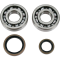 (image for) Crank Bearing and Seal Kit - SUZUKI RM250 96-02