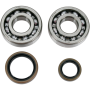 (image for) Crank Bearing and Seal Kit - SUZUKI RM250 96-02