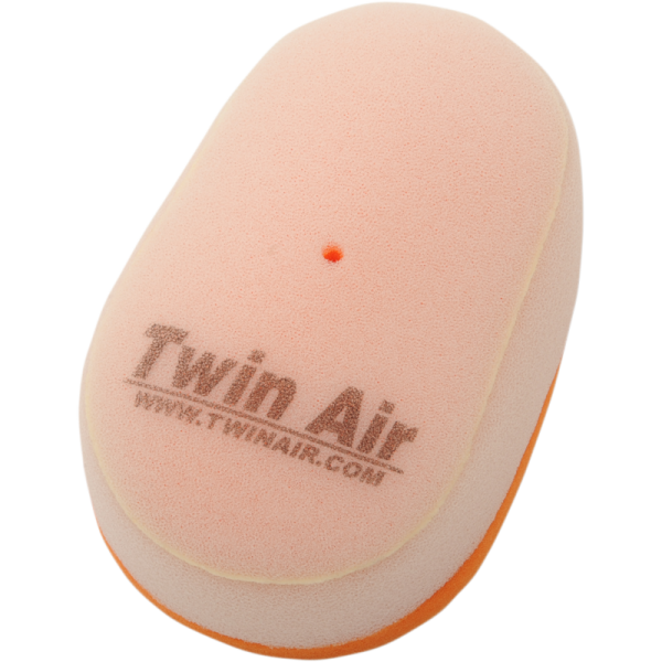 (image for) Twin Air Standard Filter 22010