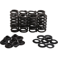 (image for) High-Performance Ovate Wire Beehive Valve Spring Kit 0926-3407