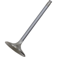 (image for) White Diamond Intake Valve 0926-3409