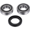 (image for) Front Wheel Bearing Kit - SUZUKI