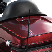(image for) High Caliber Flexible Antenna 12" Black Anodized