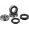 (image for) Factory Links OEM Series Rear Wheel Bearing Kit 0215-1219