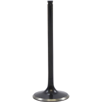 (image for) Black Diamond Intake Valve