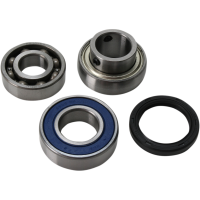 (image for) Jack Shaft Chain Case Bearing and Seal Kit