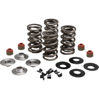 (image for) Racing Valve Spring Kit, 0.650" Lift, Titanium Retainers