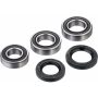 (image for) Rear Wheel Bearing Kit - GASGAS