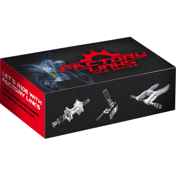 (image for) FACTORY LINKS Race Series Rear Wheel Bearing Kit