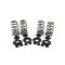 (image for) High Performance Beehive Spring Kit 425013