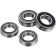 (image for) Factory Links Front/Rear Wheel Bearing Kit - BETA EVO 125/200/250/300/Factory 2T/4T 11-26