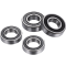 (image for) Factory Links Front/Rear Wheel Bearing Kit - BETA EVO 125/200/250/300/Factory 2T/4T 11-26