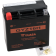 (image for) Yuasa High-Performance Factory-Activated AGM Maintenance-Free Battery 2113-0296