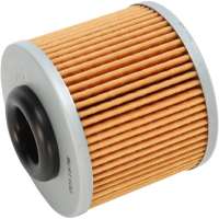 (image for) HIFLOFILTRO Oil Filter for MV Agusta F3 675/675 RC/ 675 Serie Oro 12-16