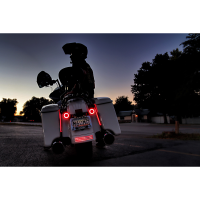 (image for) Red Plasma Rods 8"