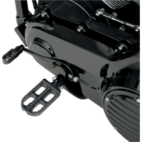 (image for) Standard Shift Pegs, Black Anodized